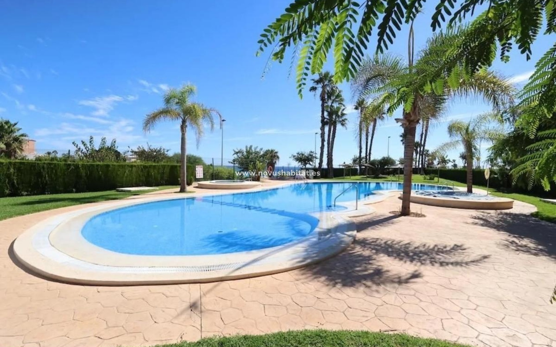 Nueva construcción  - Penthouses - Pilar de la Horadada