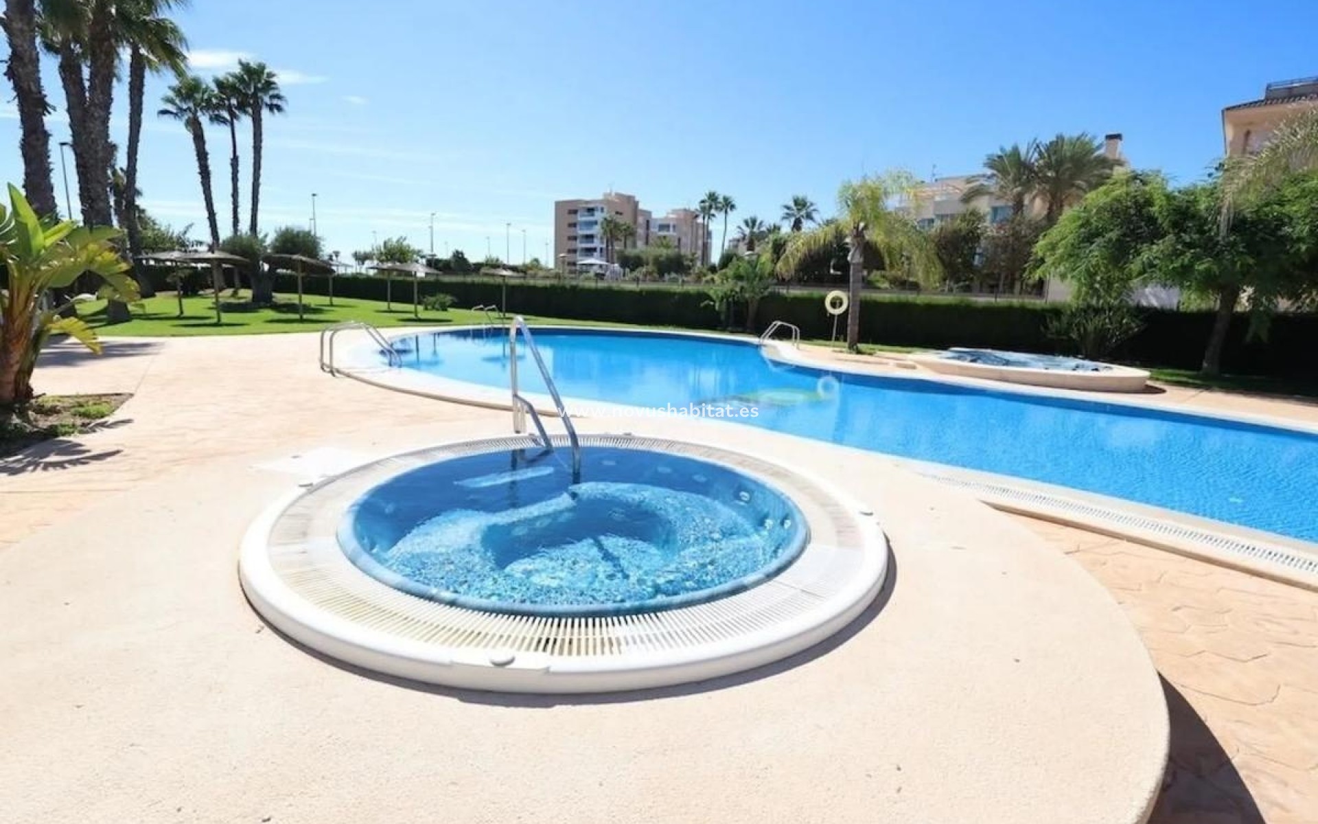 Nueva construcción  - Penthouses - Pilar de la Horadada