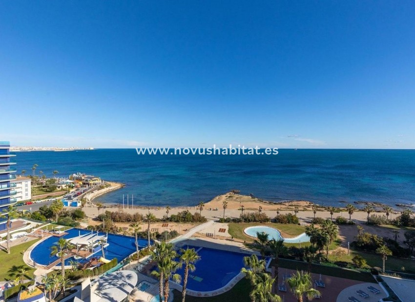 Nueva construcción  - Penthouses - Torrevieja