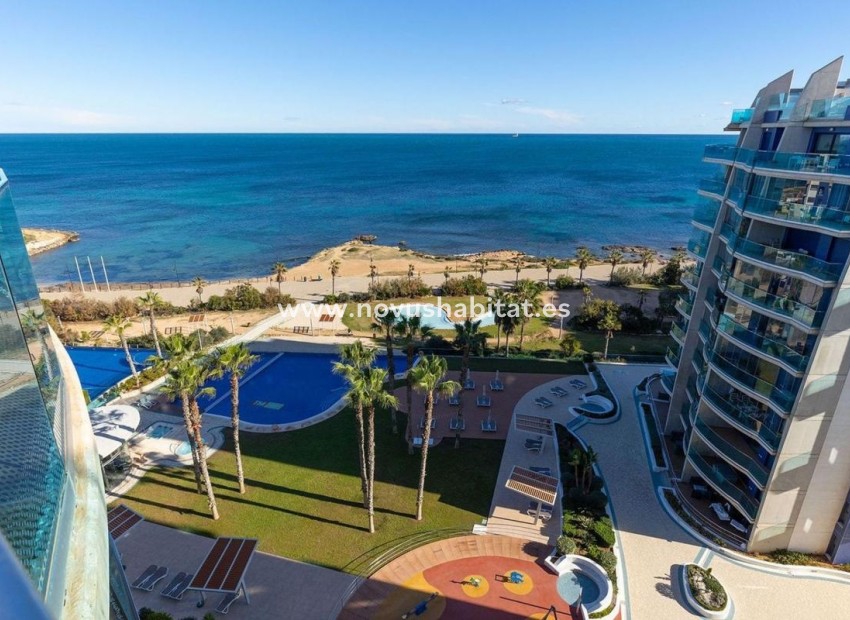 Nueva construcción  - Penthouses - Torrevieja