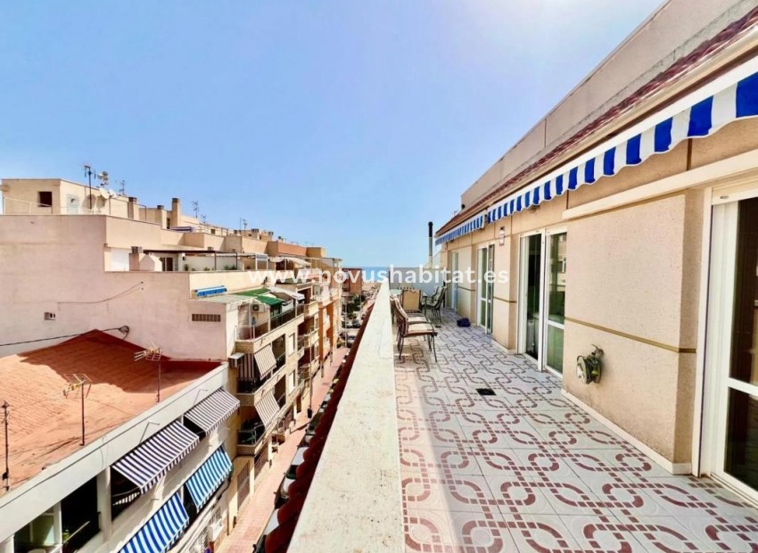 Nueva construcción  - Penthouses - Torrevieja
