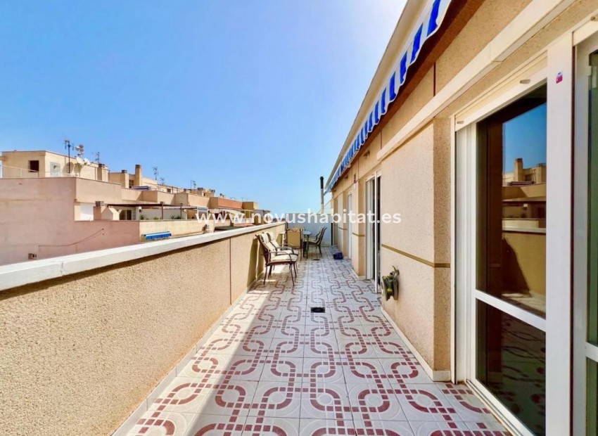 Nueva construcción  - Penthouses - Torrevieja