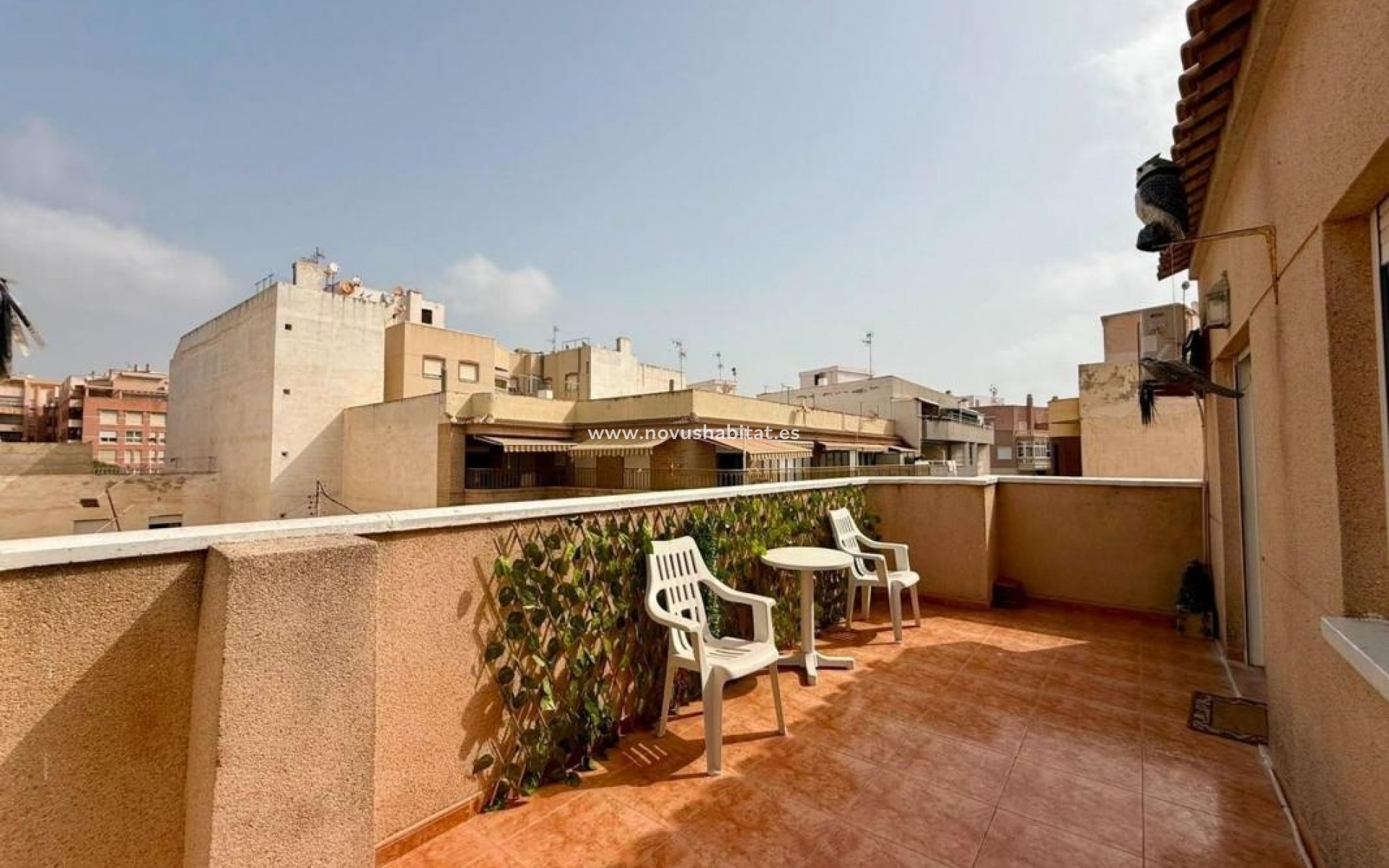 Nueva construcción  - Penthouses - Torrevieja
