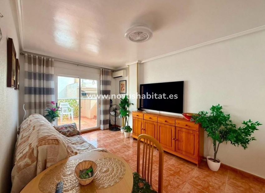 Nueva construcción  - Penthouses - Torrevieja