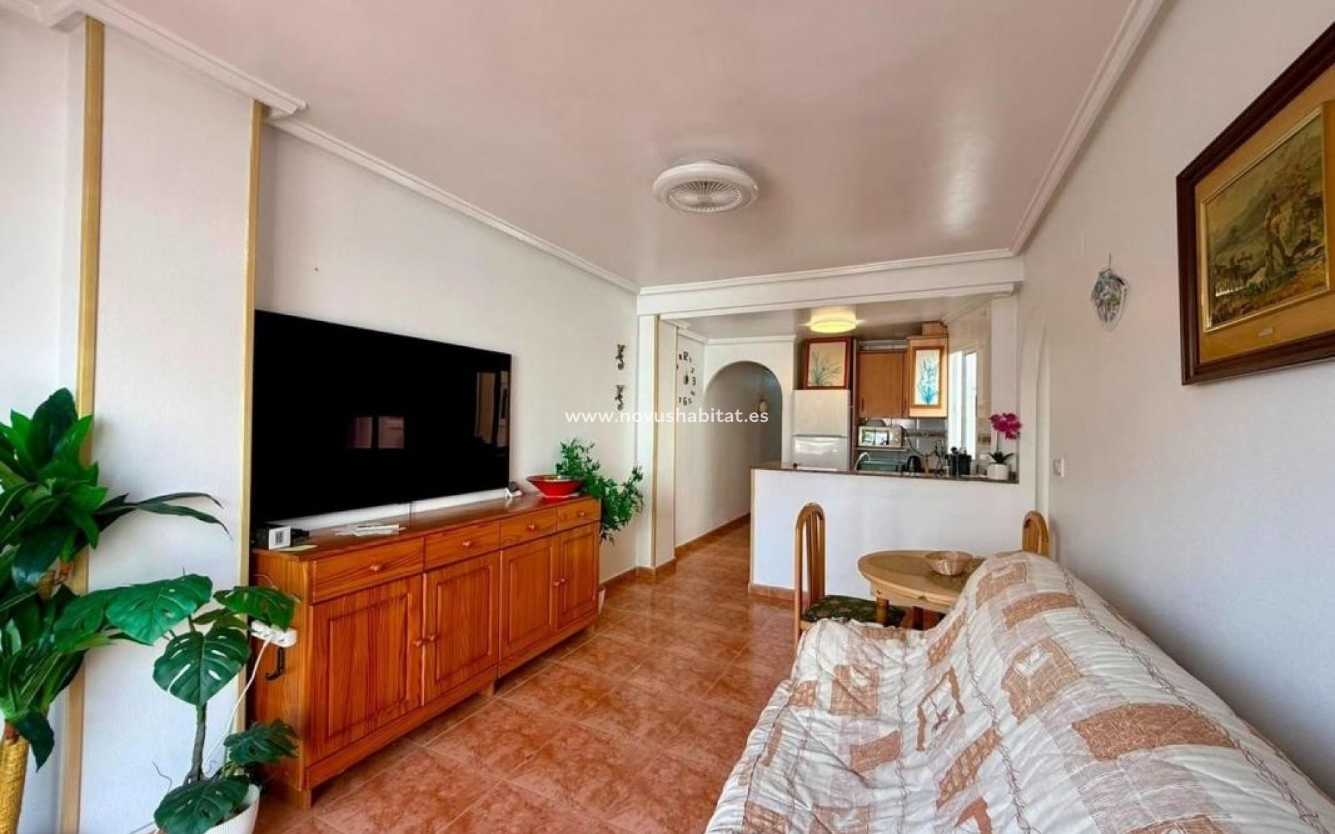 Nueva construcción  - Penthouses - Torrevieja