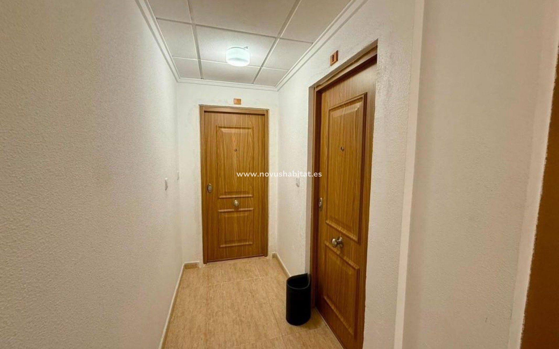 Nueva construcción  - Penthouses - Torrevieja