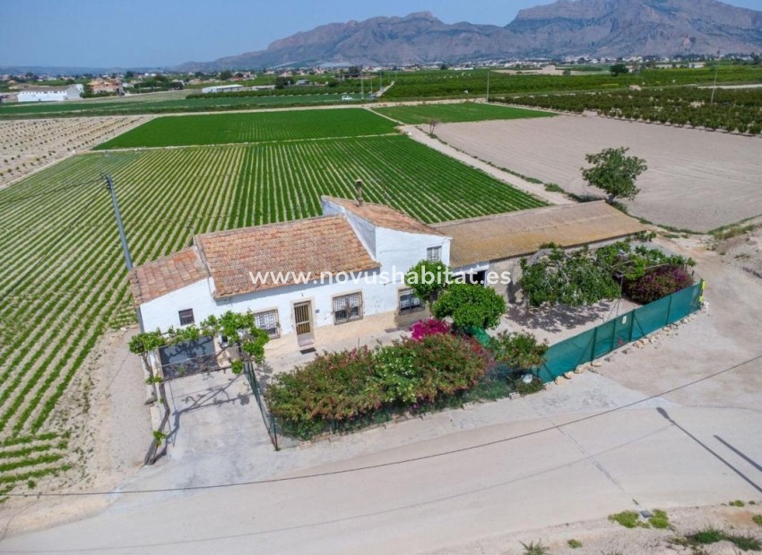 Nueva construcción  - Rustic estate - Orihuela