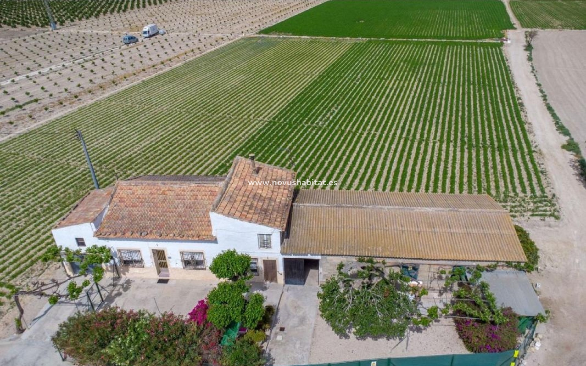 Nueva construcción  - Rustic estate - Orihuela