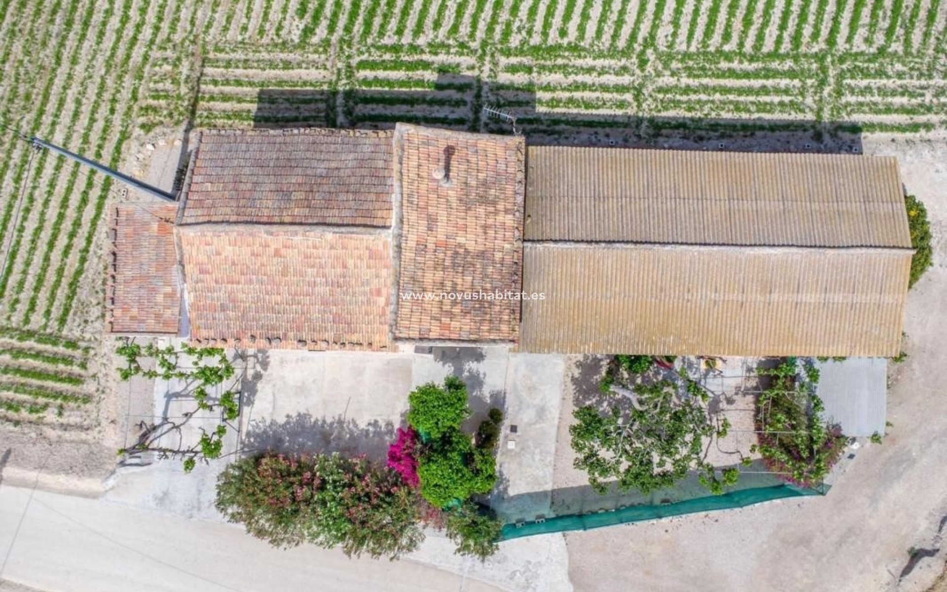 Nueva construcción  - Rustic estate - Orihuela