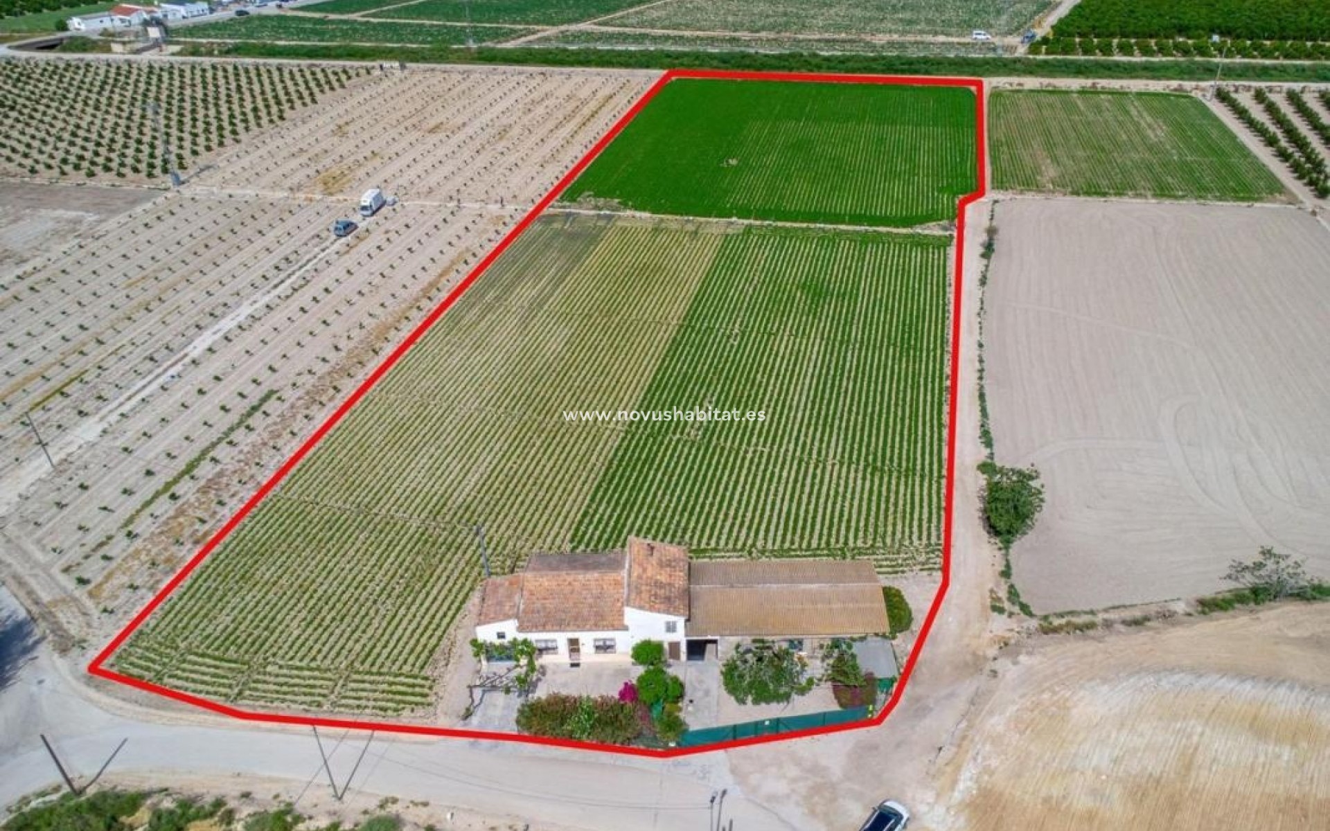 Nueva construcción  - Rustic estate - Orihuela