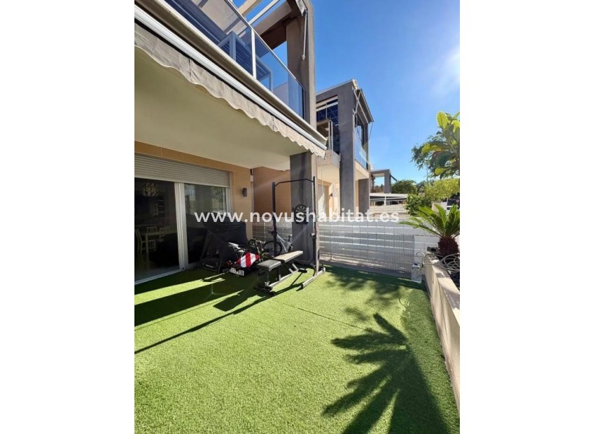 Nueva construcción  - Terraced houses - Guardamar del Segura