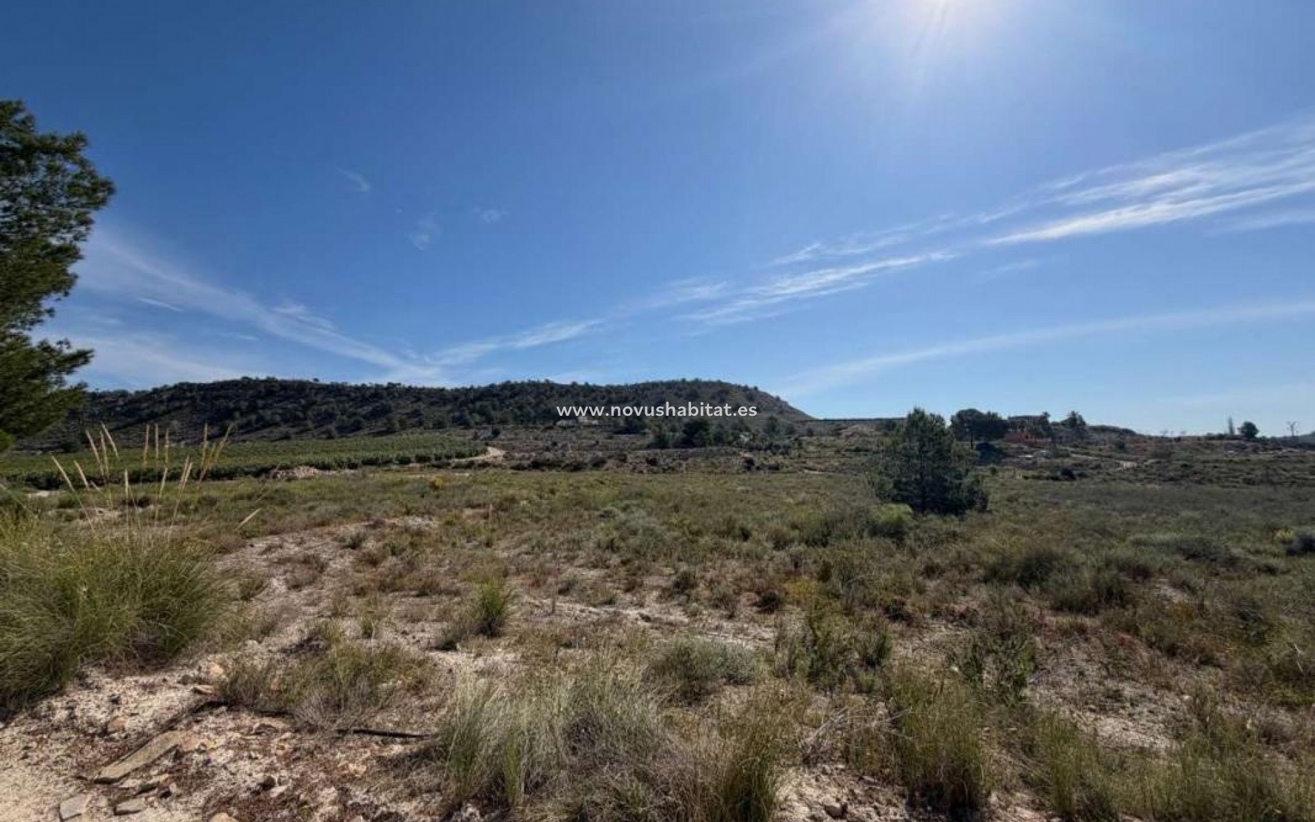 Nueva construcción  - Urban - Orihuela