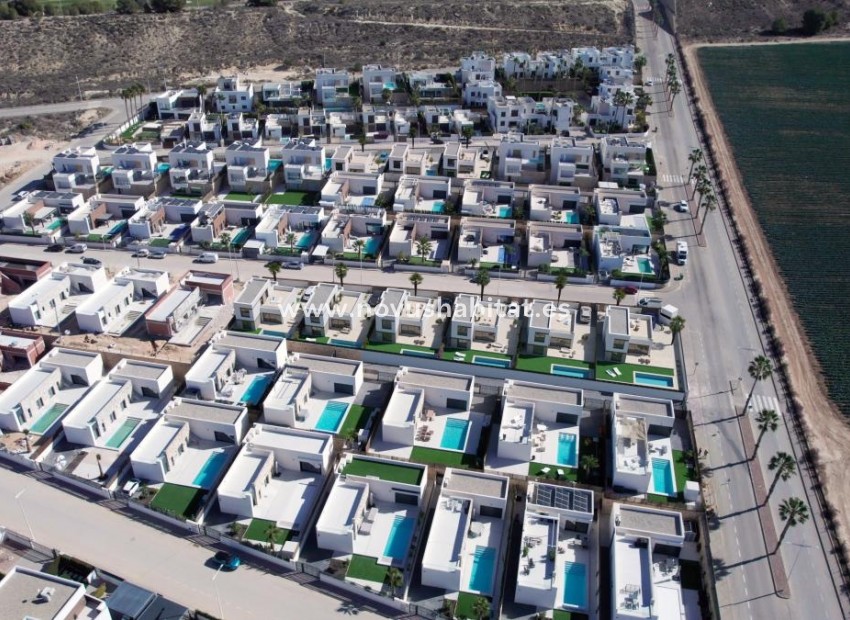 Nueva construcción  - Villa - Algorfa