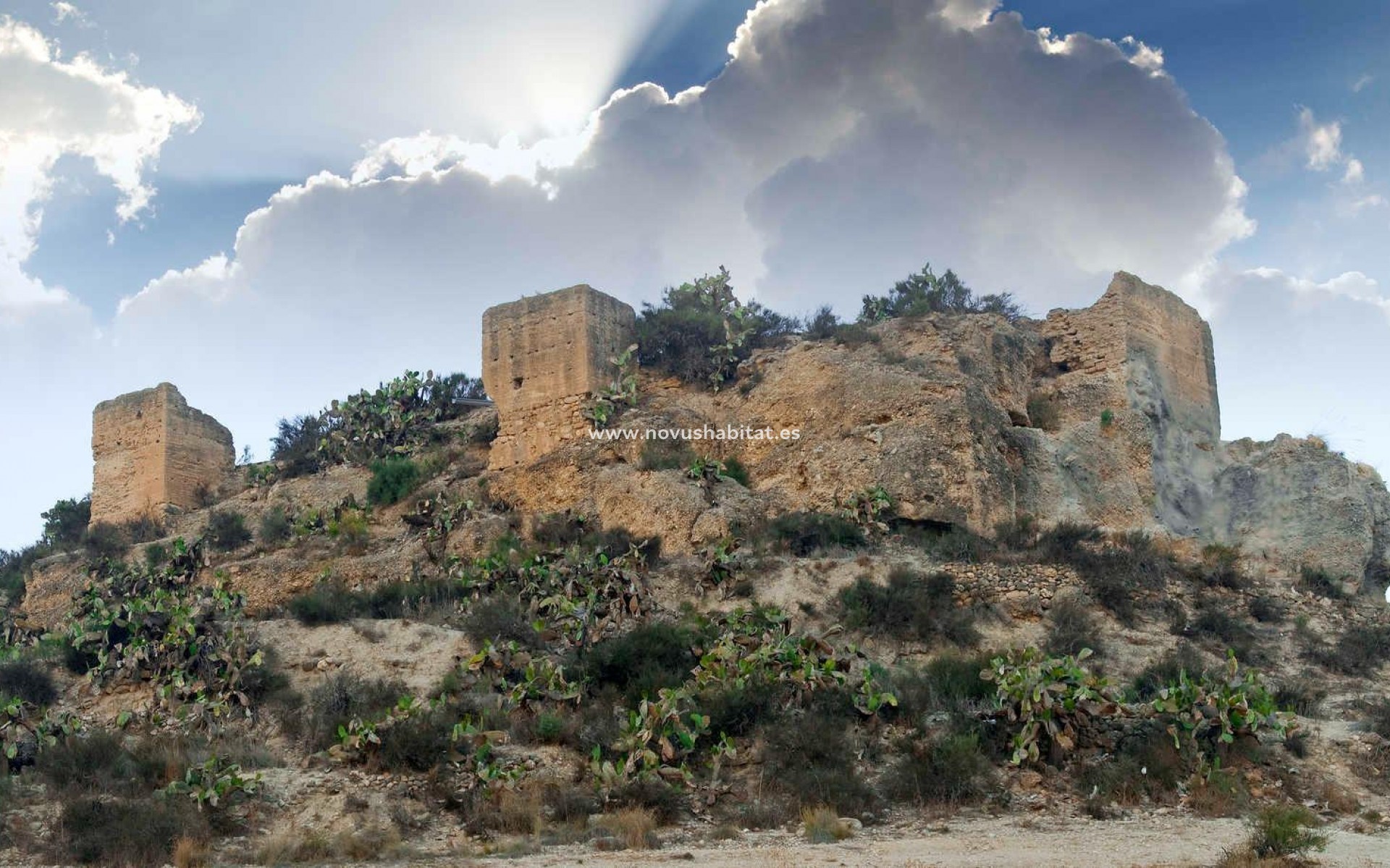 Nueva construcción  - Villa - Aspe