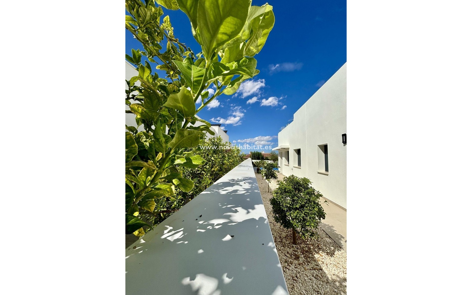 Nueva construcción  - Villa - Benijófar