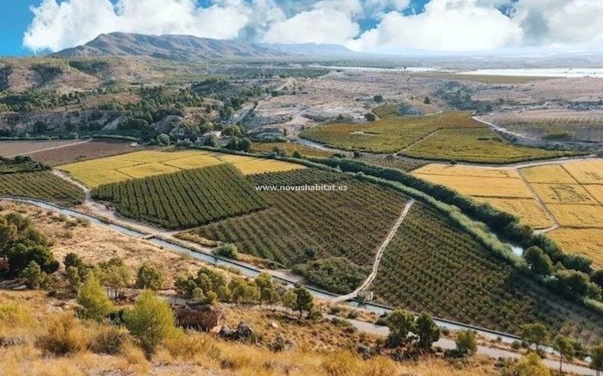 Nueva construcción  - Villa - Calasparra