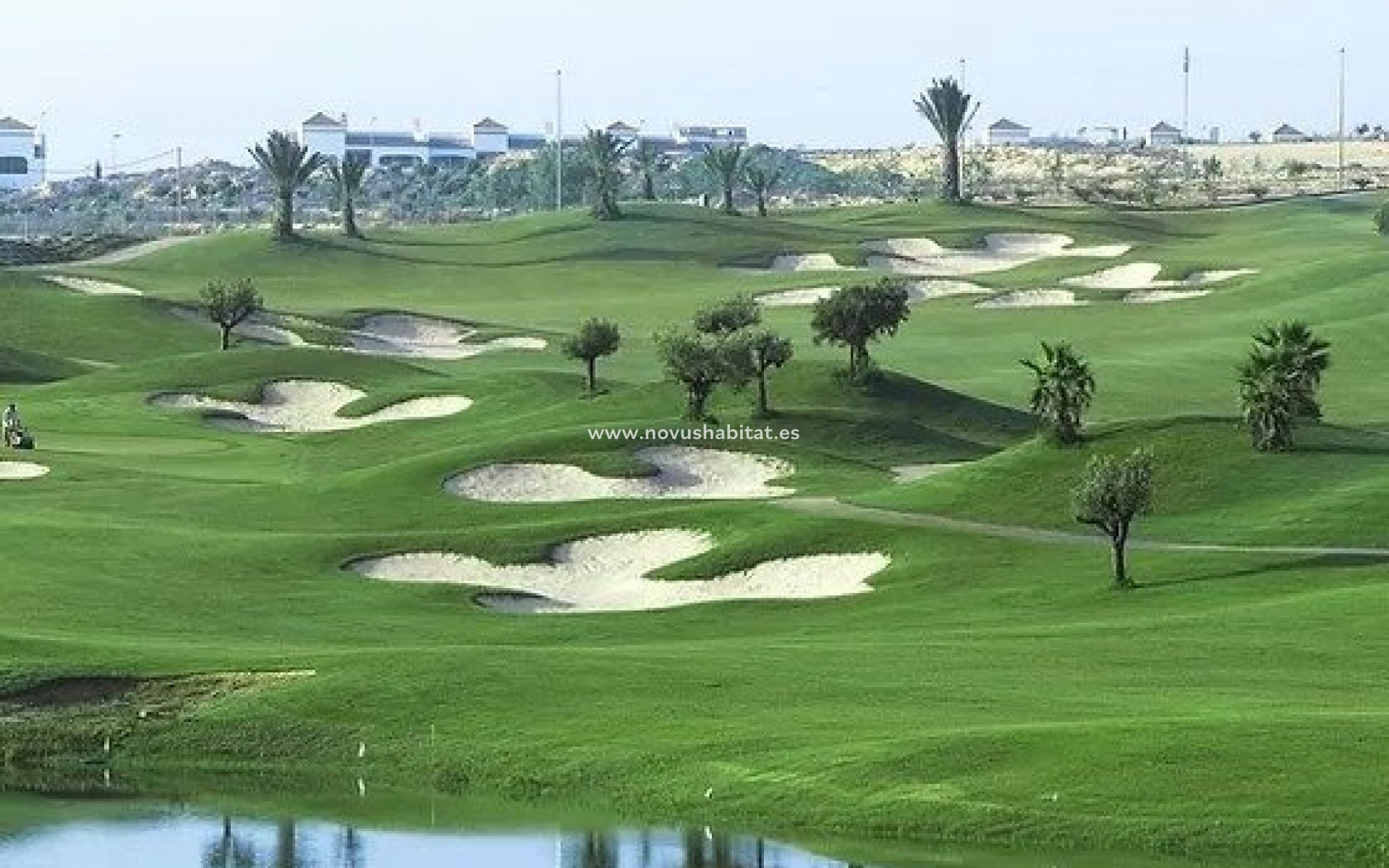 Nueva construcción  - Villa - Orihuela