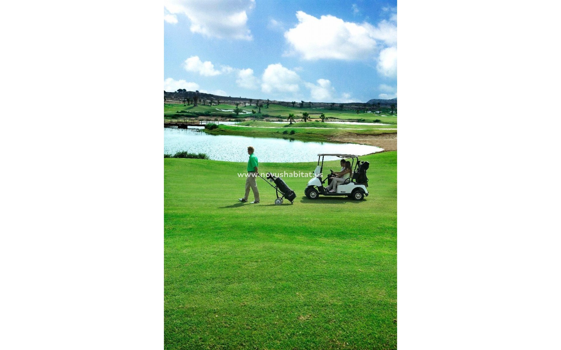 Nueva construcción  - Villa - Orihuela