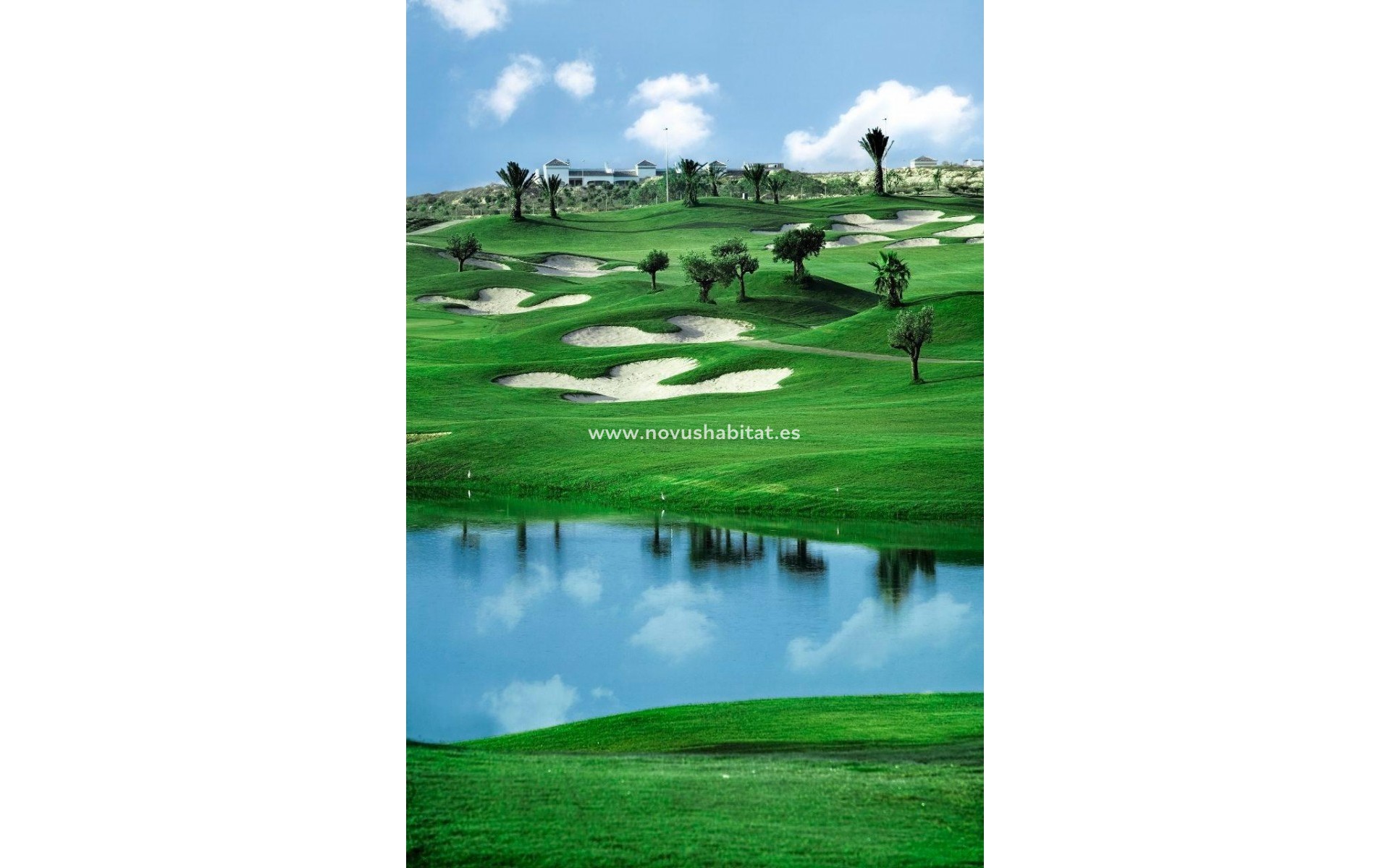 Nueva construcción  - Villa - Orihuela