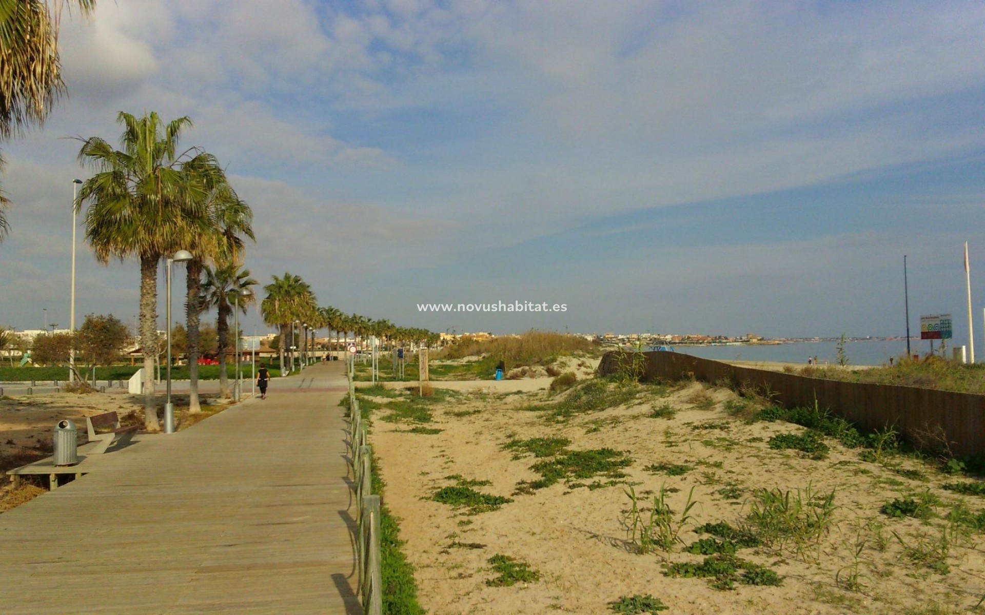 Nueva construcción  - Villa - Pilar de la Horadada