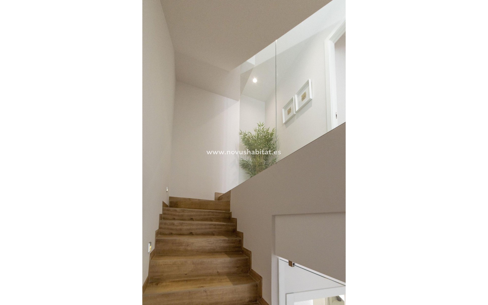 Nueva construcción  - Villa - Pilar de la Horadada