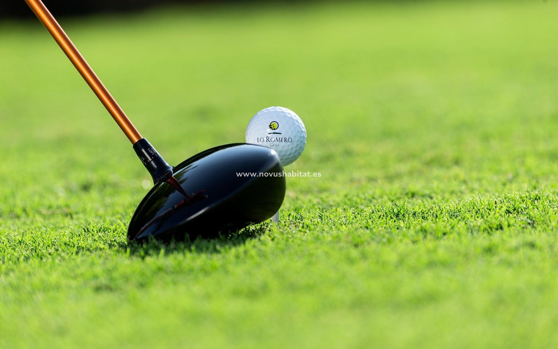 Nueva construcción  - Villa - Pilar de la Horadada