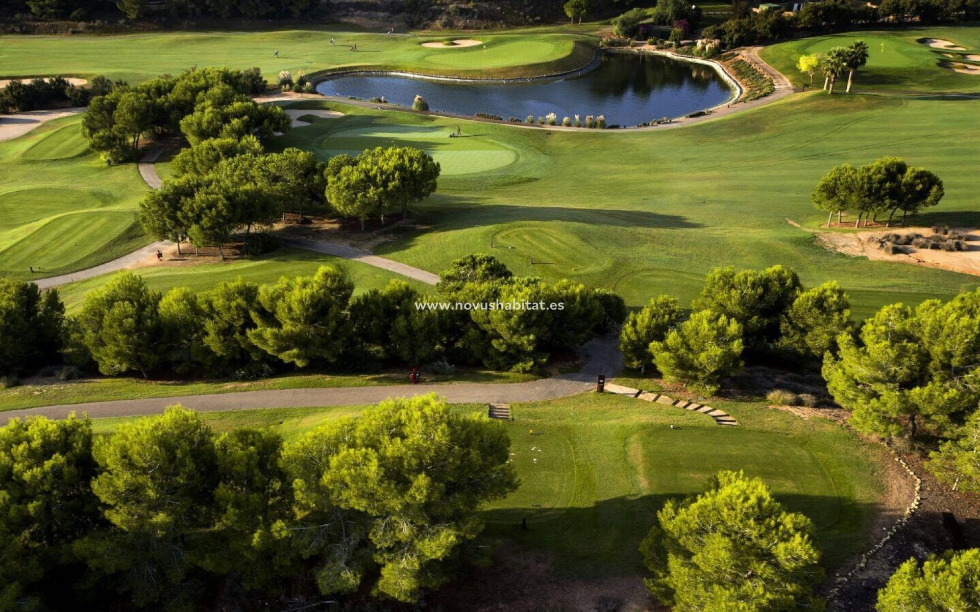 Nueva construcción  - Villa - Pilar de la Horadada