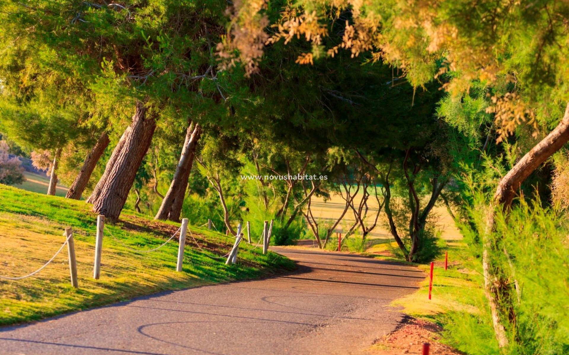 Nueva construcción  - Villa - Pilar de la Horadada