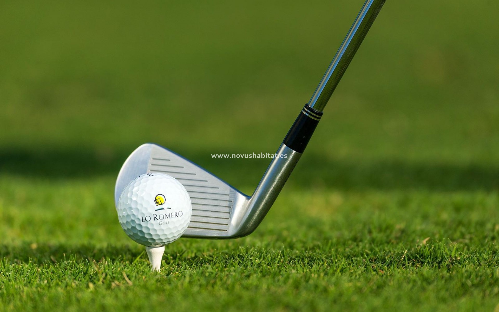 Nueva construcción  - Villa - Pilar de la Horadada