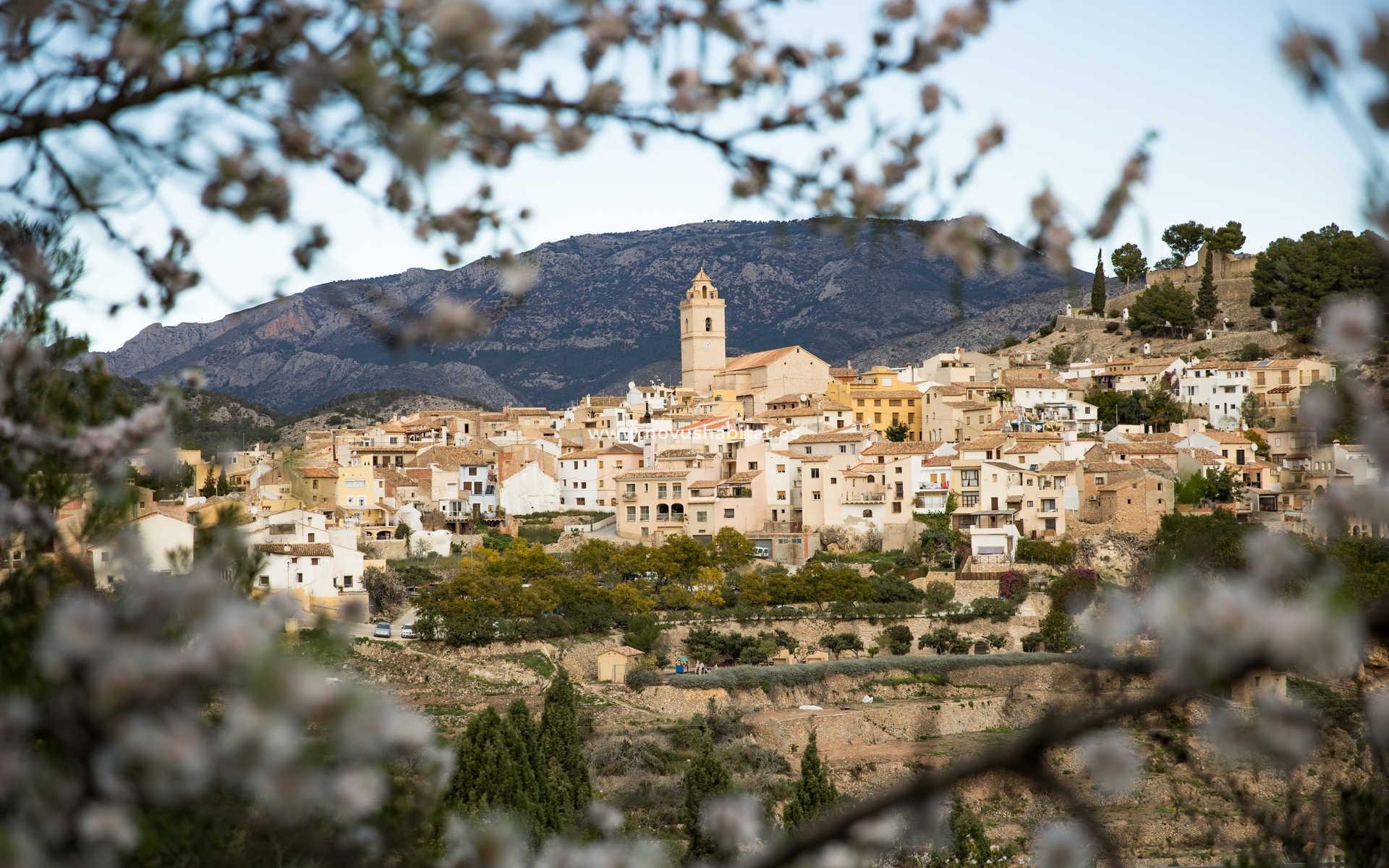 Nueva construcción  - Villa - Polop