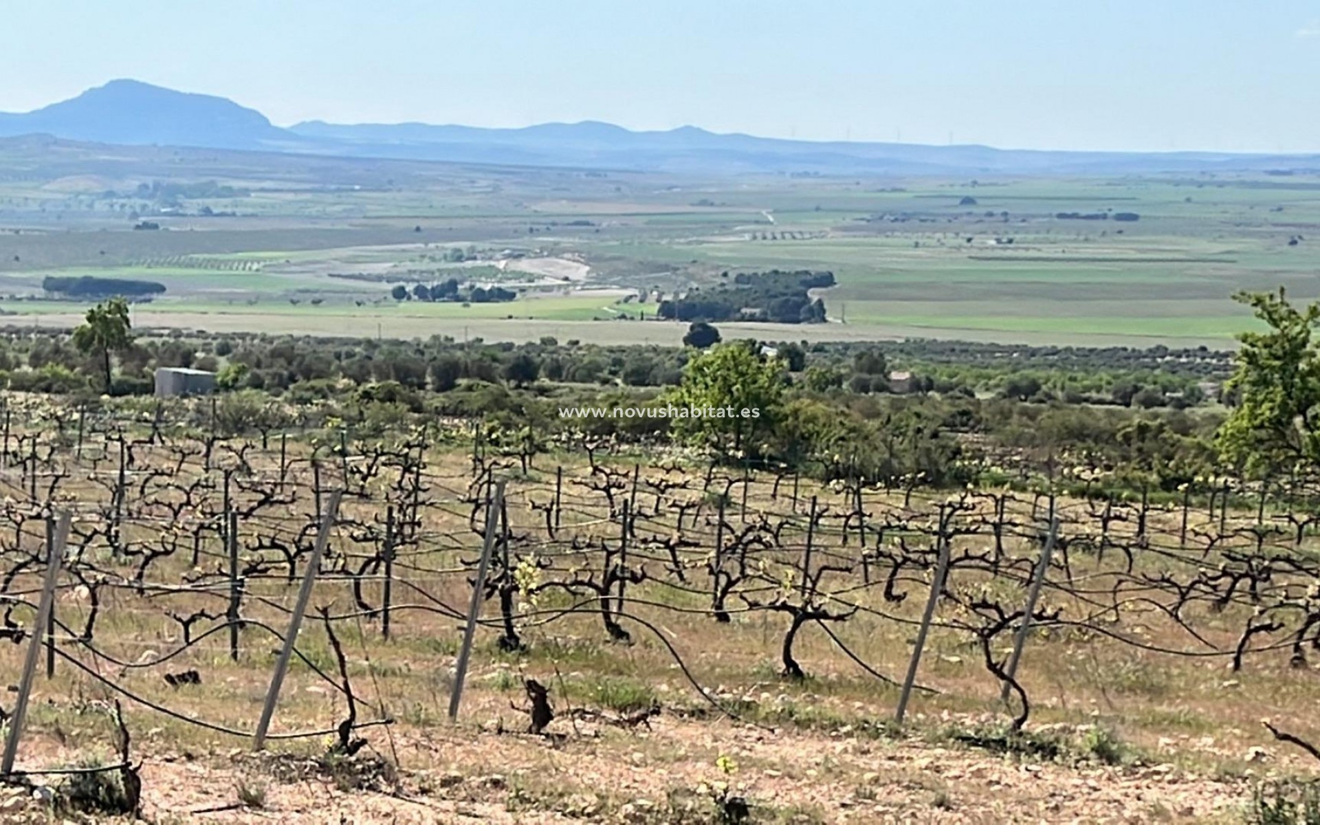 Nueva construcción  - Villa - Yecla