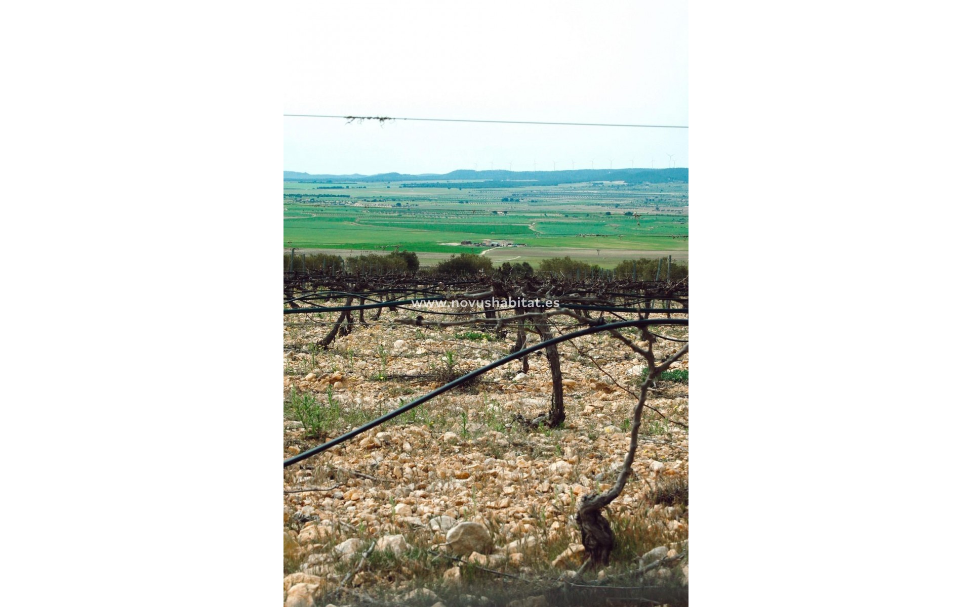 Nueva construcción  - Villa - Yecla