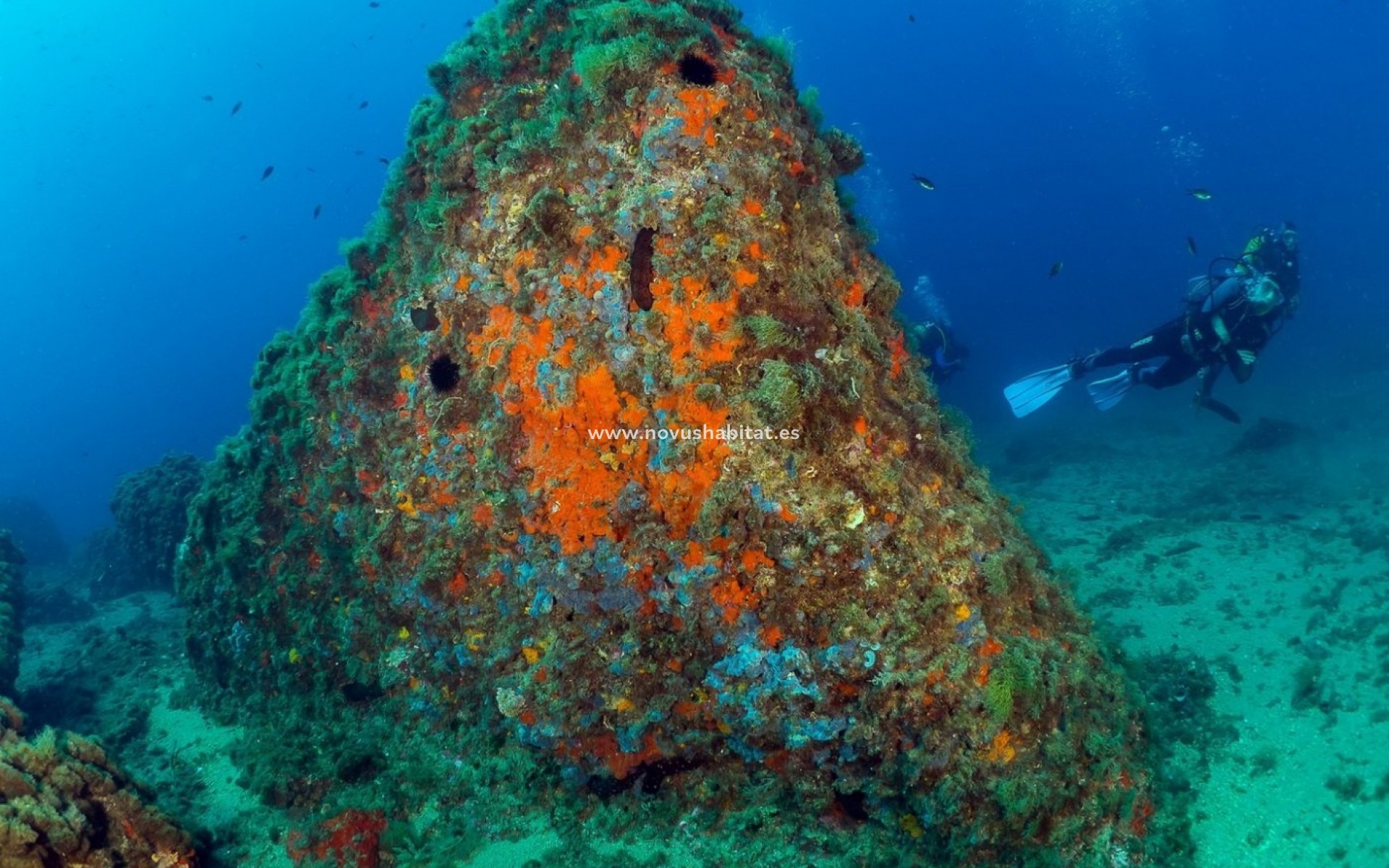 Nýbygging -  - Águilas - Isla Del Fraile