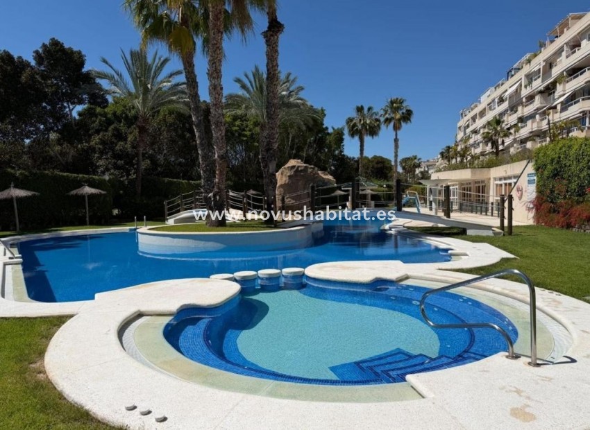 Nýbygging - Apartament - Alicante