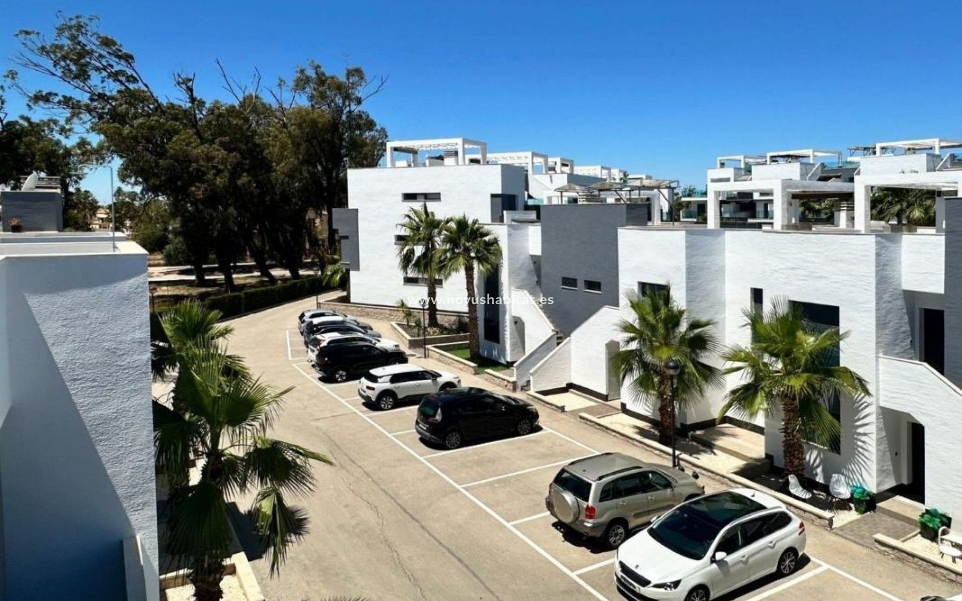 Nýbygging - Apartament - Guardamar del Segura