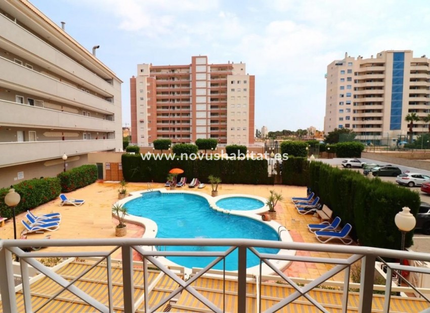 Nýbygging - Apartament - Guardamar del Segura