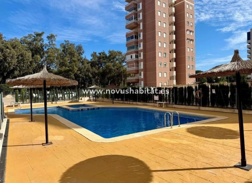 Nýbygging - Apartament - Guardamar del Segura