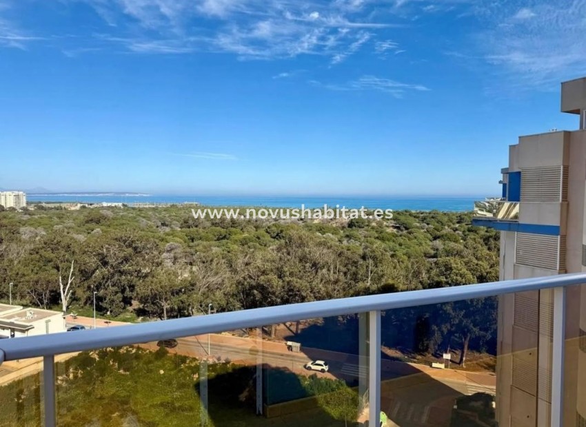 Nýbygging - Apartament - Guardamar del Segura