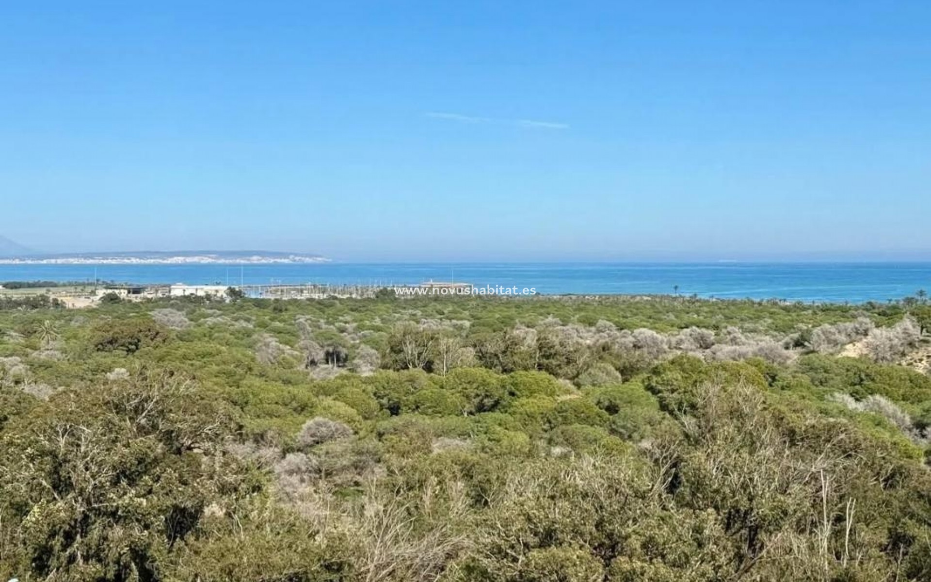 Nýbygging - Apartament - Guardamar del Segura