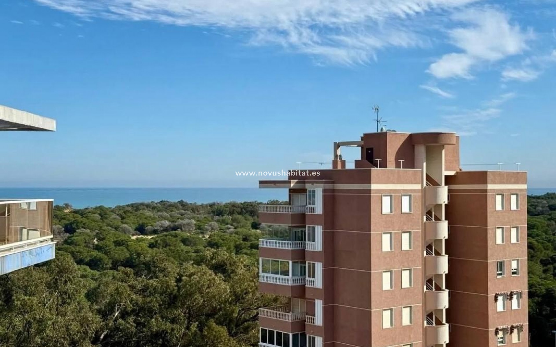 Nýbygging - Apartament - Guardamar del Segura