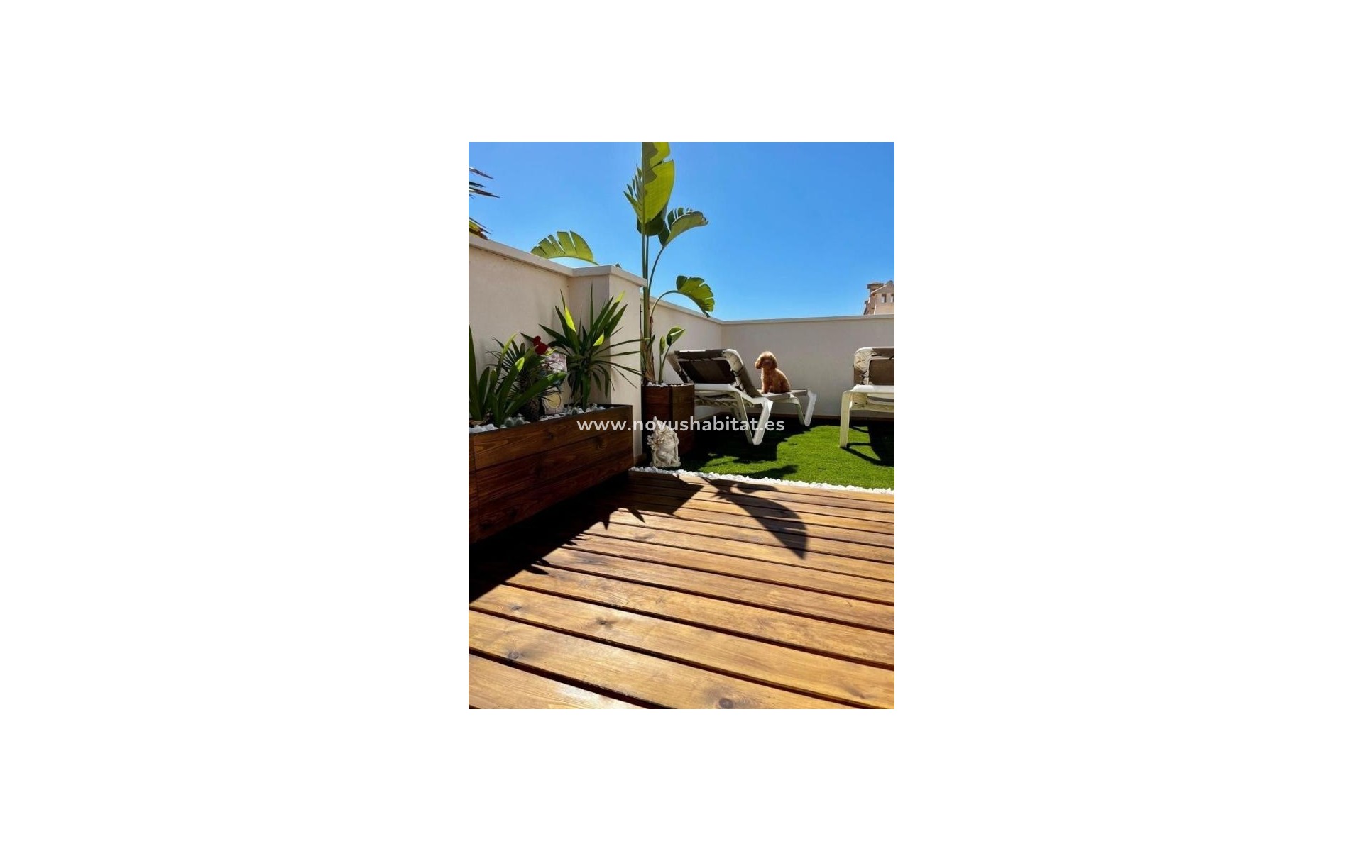 Nýbygging - Apartament - Los Alcázares