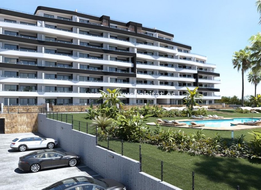 Nýbygging - Apartament - San Miguel de Salinas