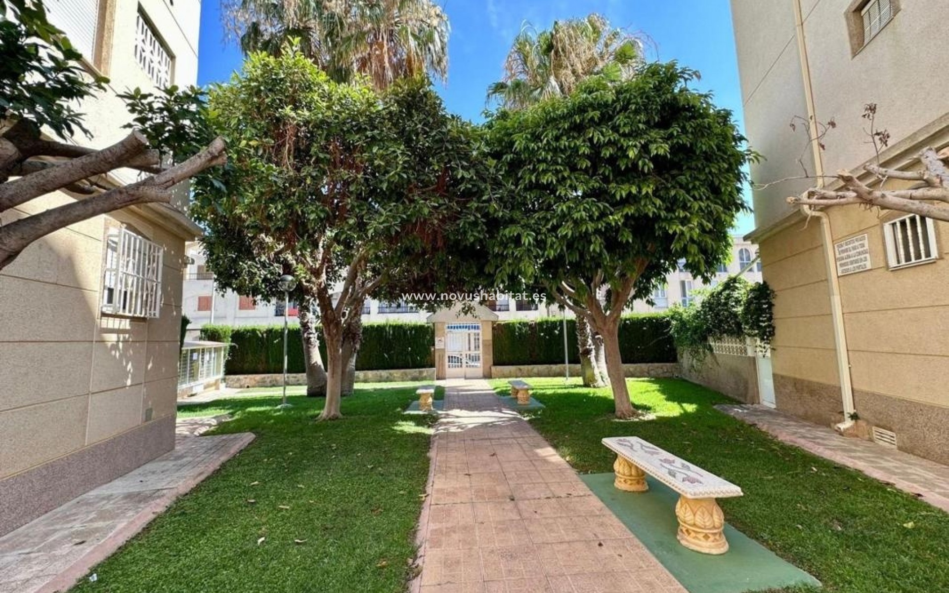 Nýbygging - Apartament - Torrevieja