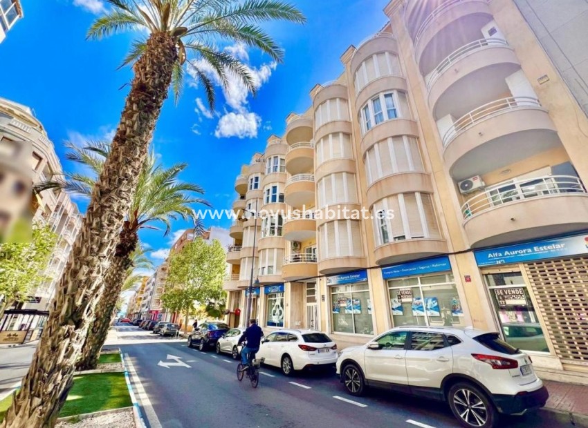 Nýbygging - Apartament - Torrevieja