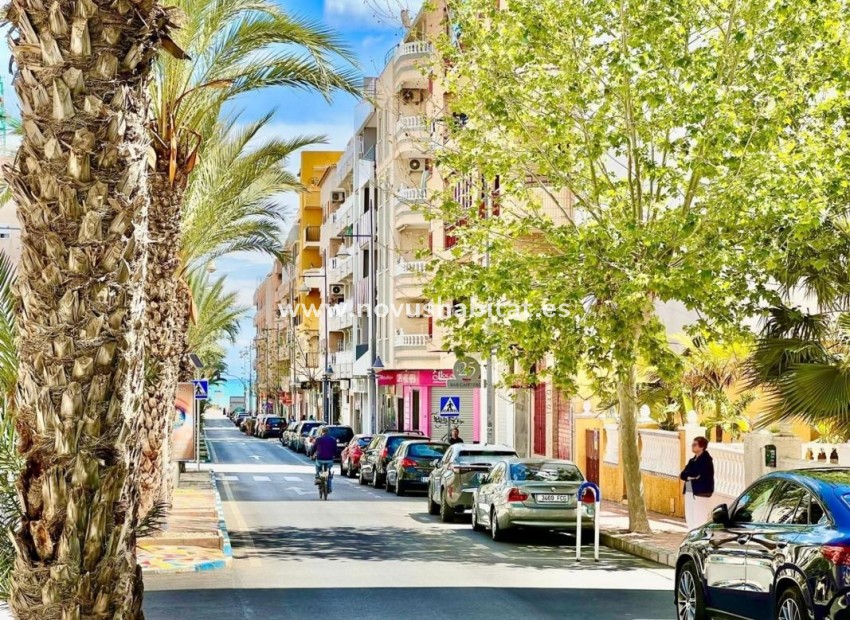 Nýbygging - Apartament - Torrevieja