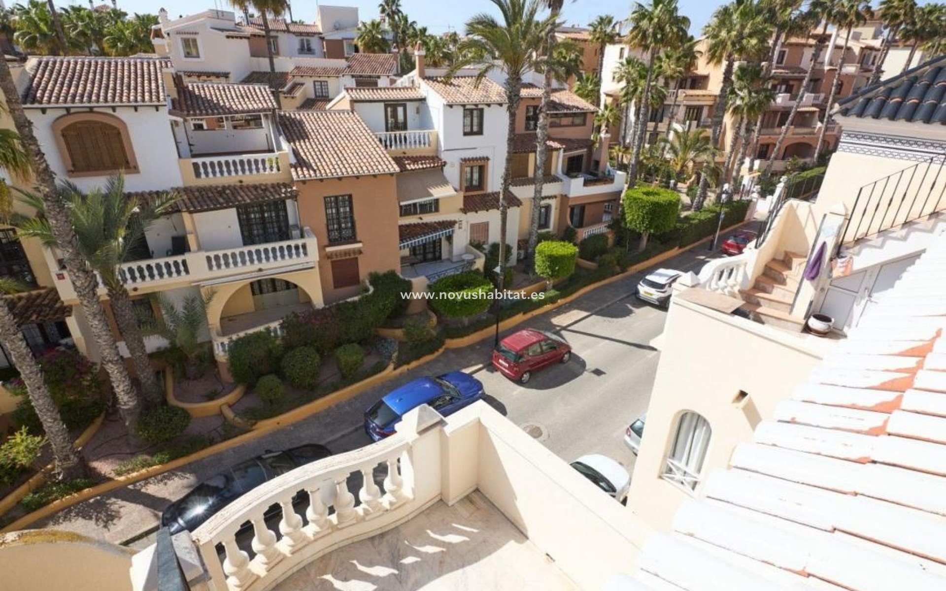 Nýbygging - Apartament - Torrevieja