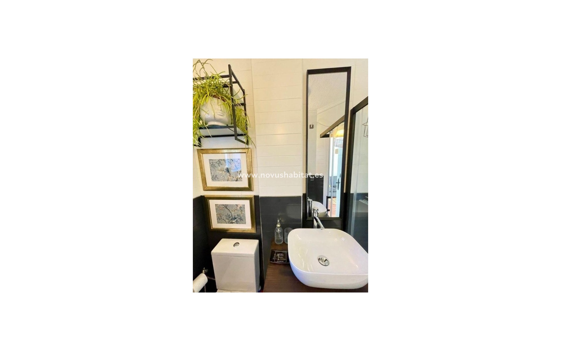 Nýbygging - Apartament - Torrevieja