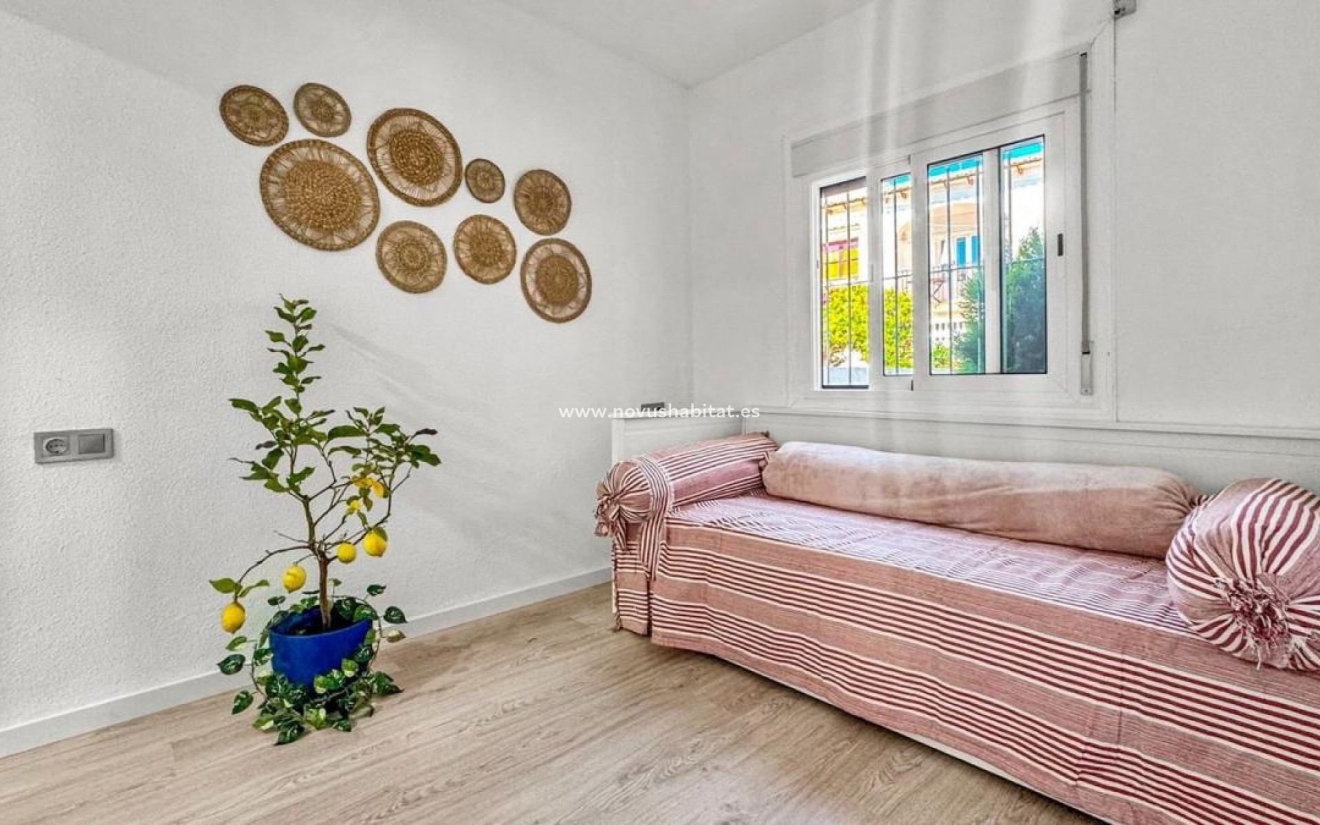 Nýbygging - Apartament - Torrevieja