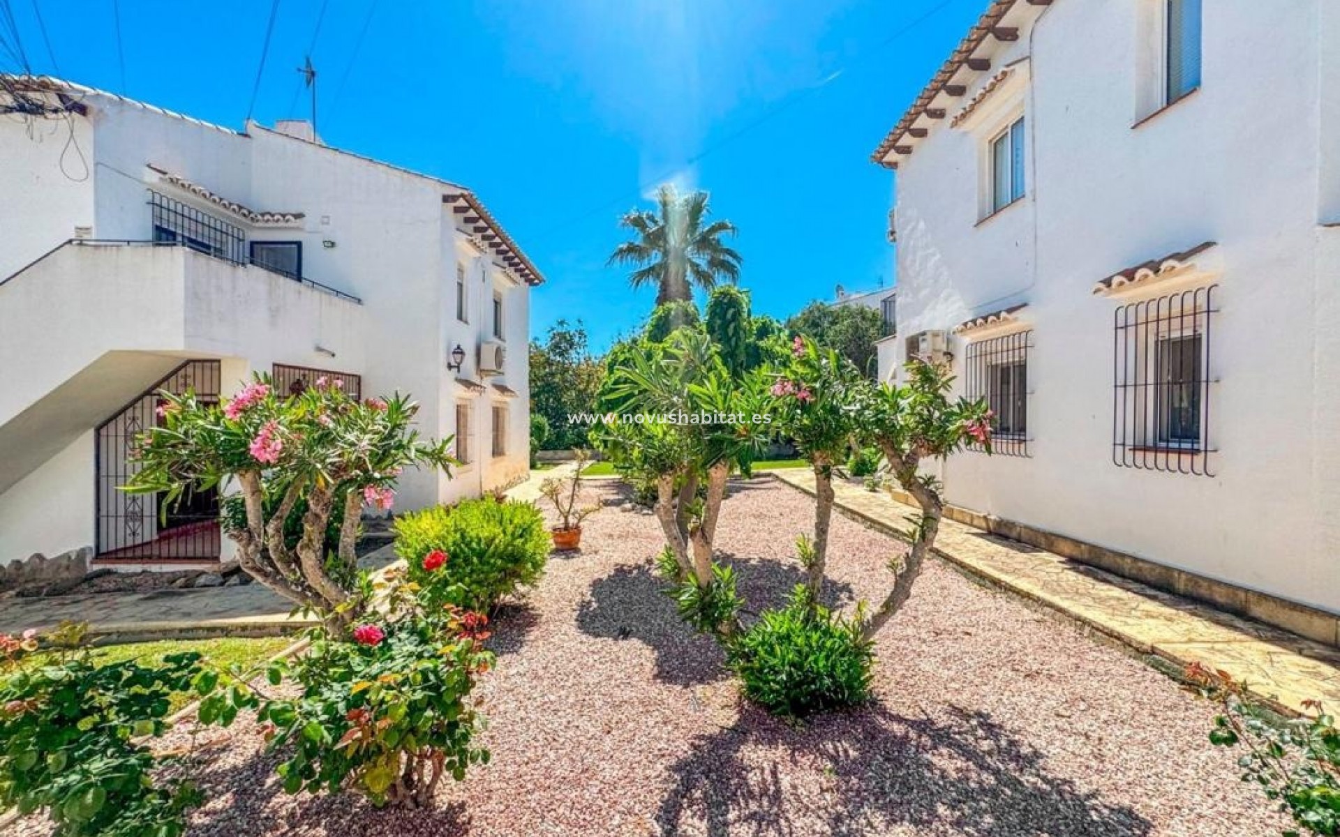 Nýbygging - Apartament - Torrevieja