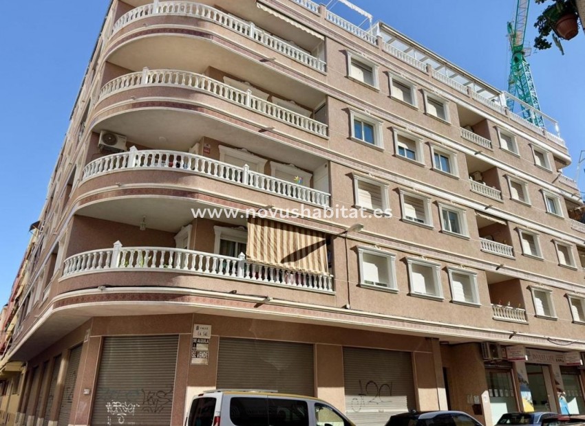 Nýbygging - Apartament - Torrevieja